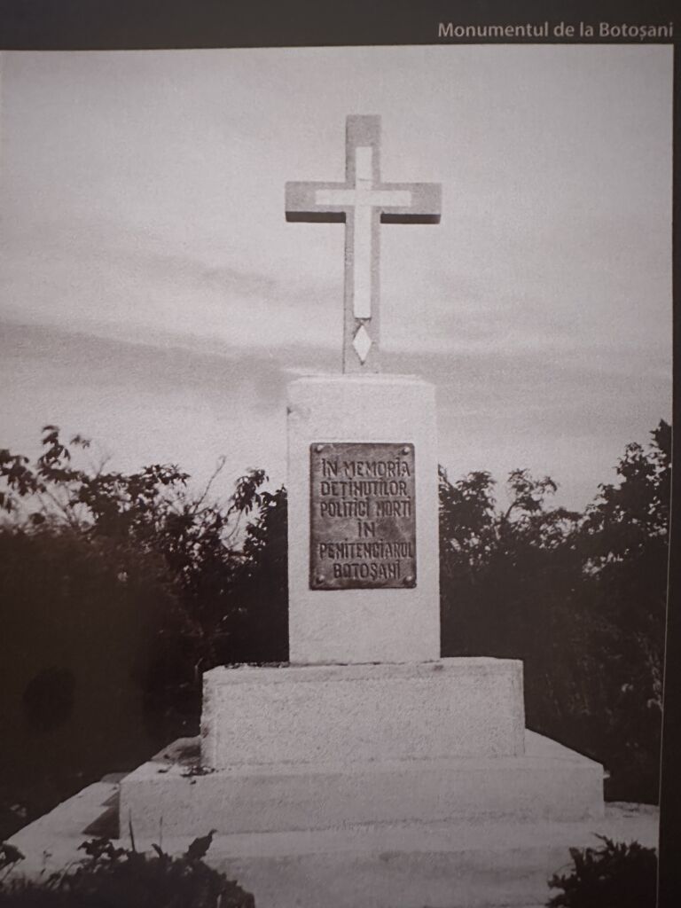 Troita de la Botosani